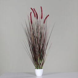 DPI Gras m. Fruchtstand 95cm