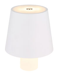 Globo LED - Akku - Flaschenleuchte
