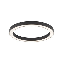 Paul Neuhaus LED-Deckenleuchte 1flg