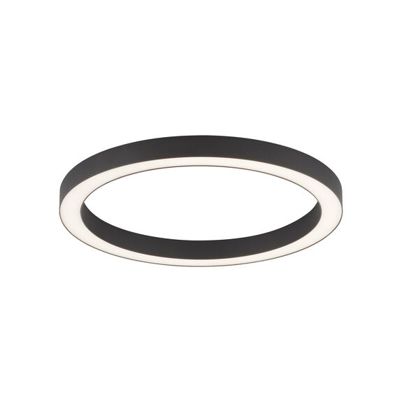 Paul Neuhaus LED-Deckenleuchte 1flg