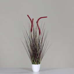 DPI Gras m. Fruchtstand 70cm