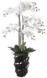 casa NOVA Orchidee 110cm