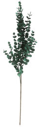 casa NOVA casaNOVA Deko-Zweig 74cm