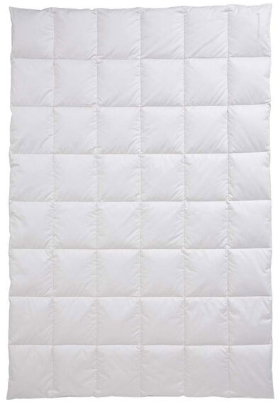 CENTA-STAR Dauneneinziehdecke 400g