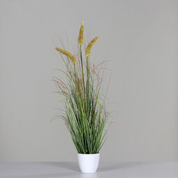 Gras m. Fruchtstand 75cm