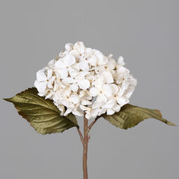 DPI Hortensie 45cm