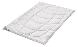 Sanders-Kaufmann Seiden-Sommerdecke 400g