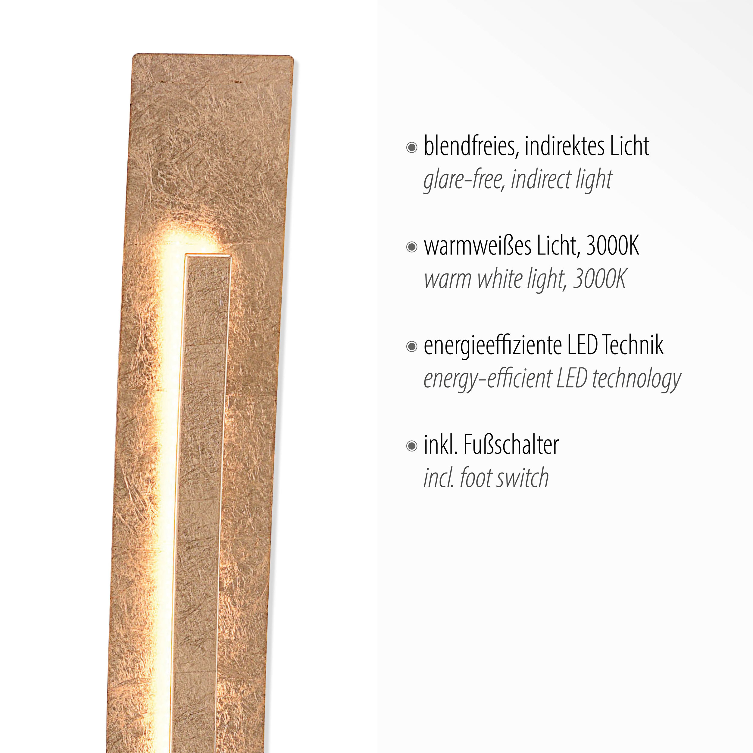 LED-Stehleuchte 1flg image number null