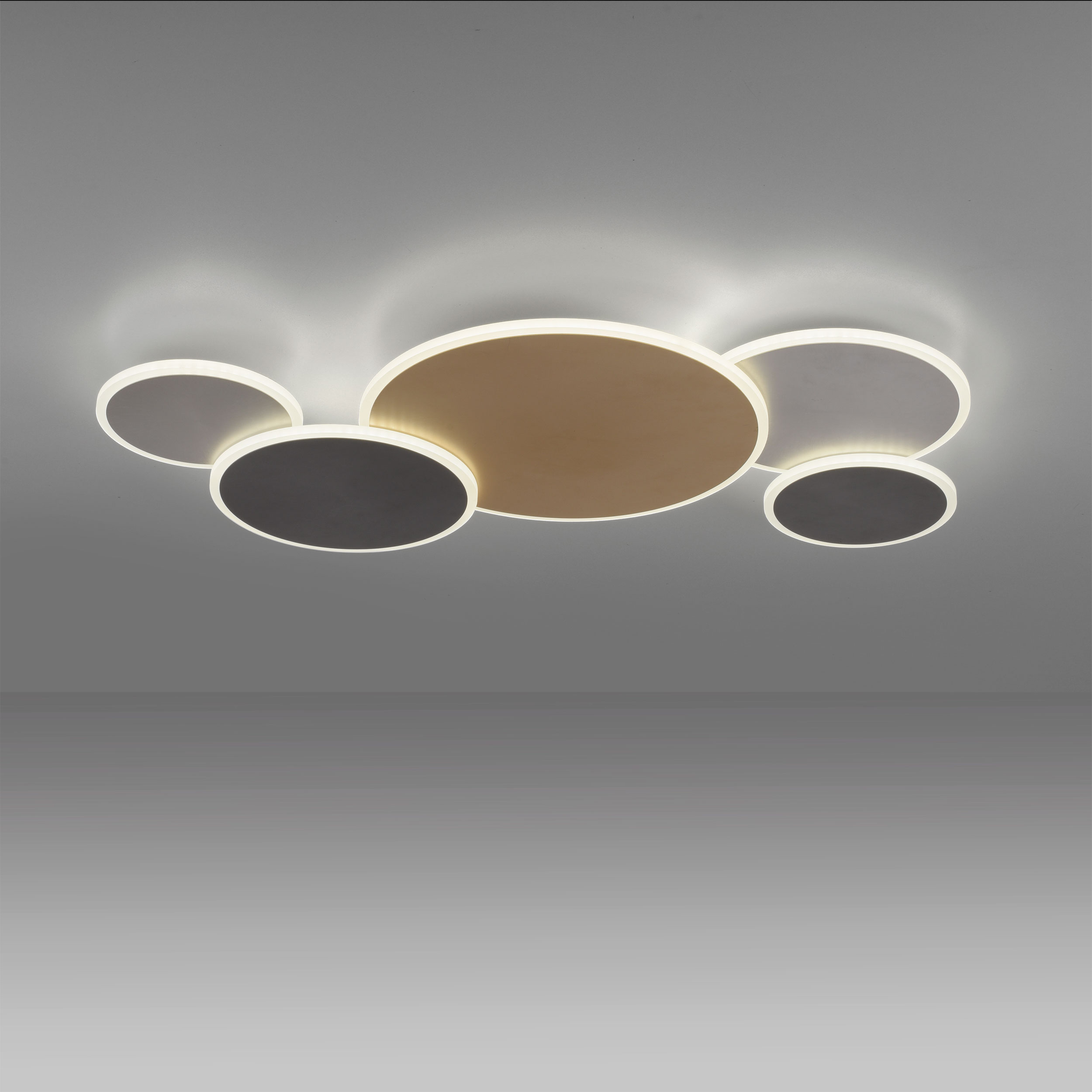 Paul Neuhaus LED-Wand-u. Deckenleuchte 1flg image number 2