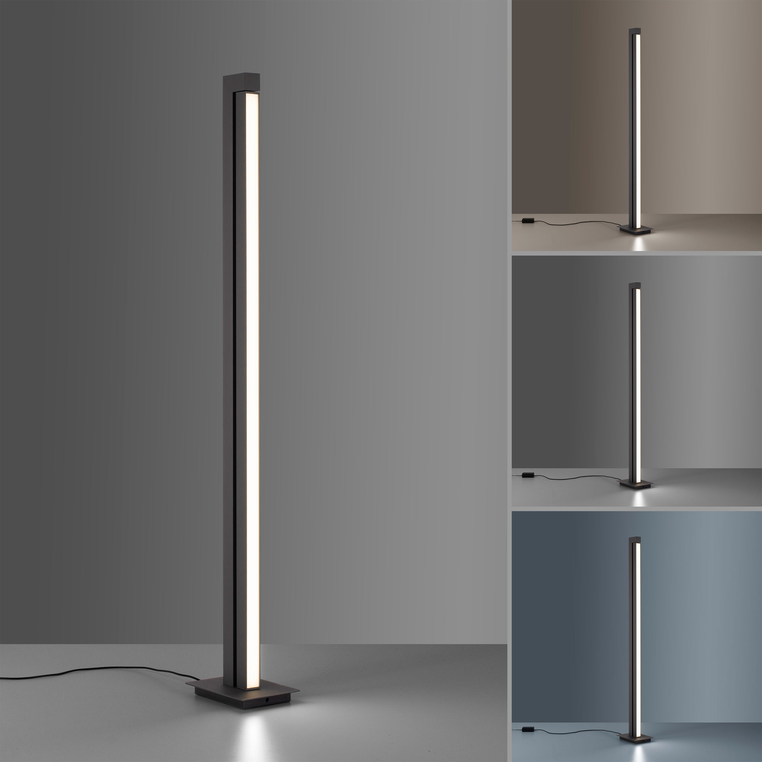 Paul Neuhaus LED-Stehleuchte 1flg image number 5