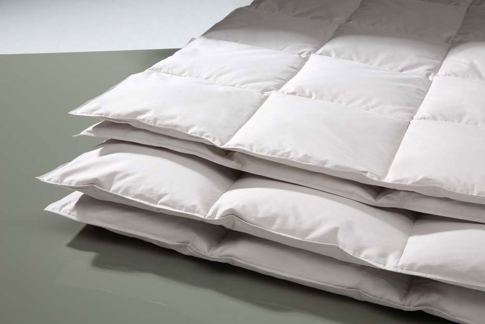 CENTA-STAR Daunen-Einziehdecke 500g image number 2