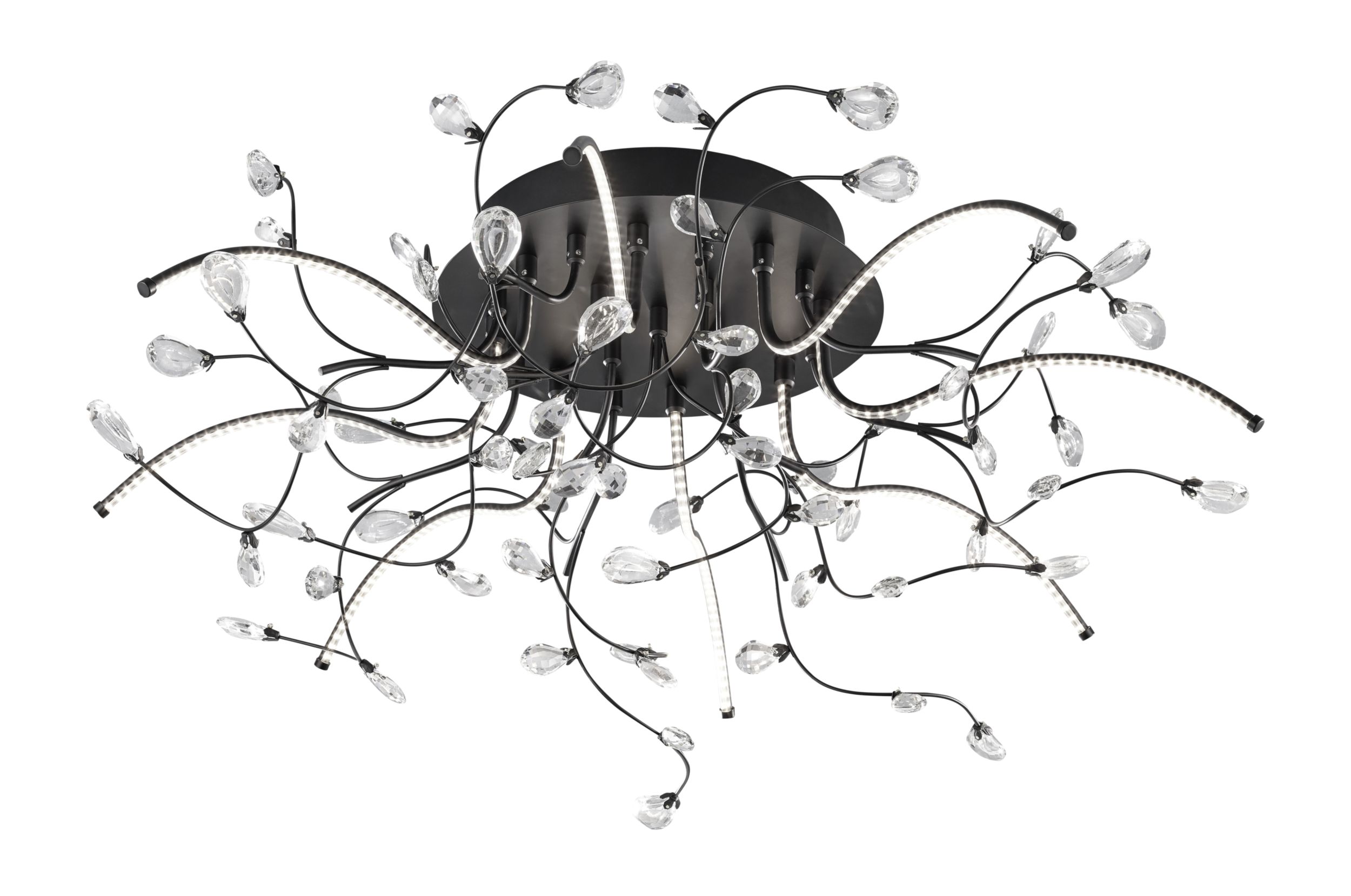 B-Leuchten LED-Deckenleuchte 8flg image number 2