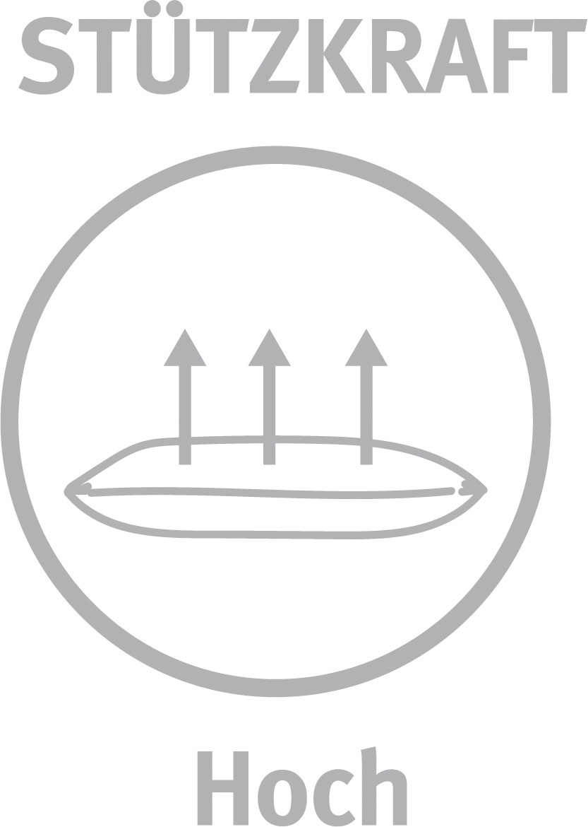 Paradies Drei-Kammerkissen 440g image number 4