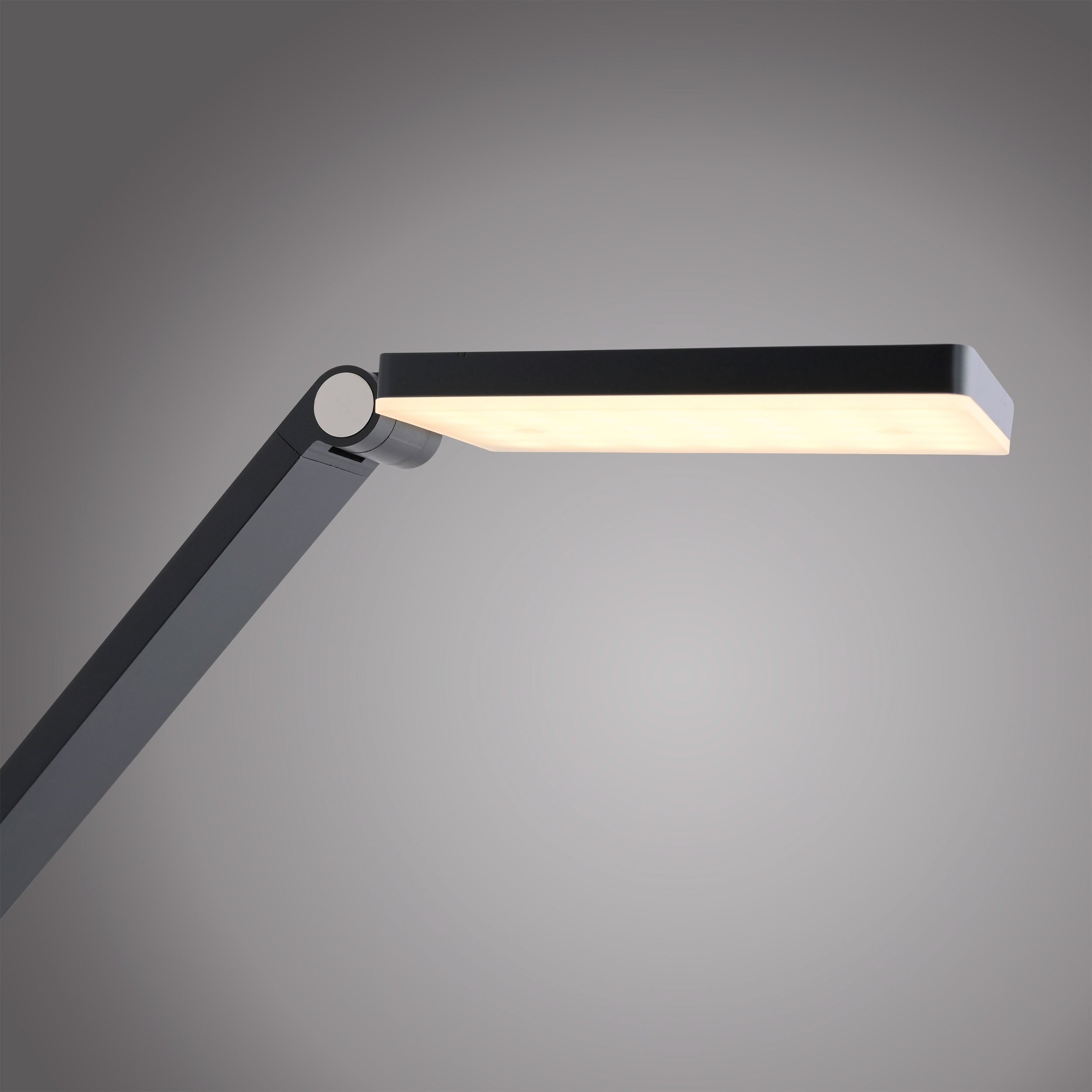 Paul Neuhaus LED-Stehleuchte 1flg image number 4