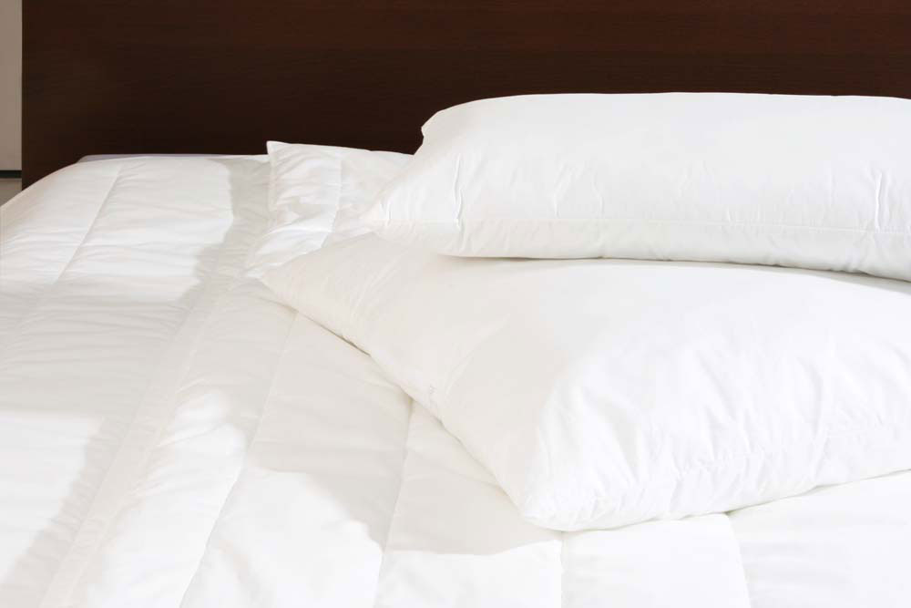 CENTA-STAR Ganzjahresbett 900g image number 3
