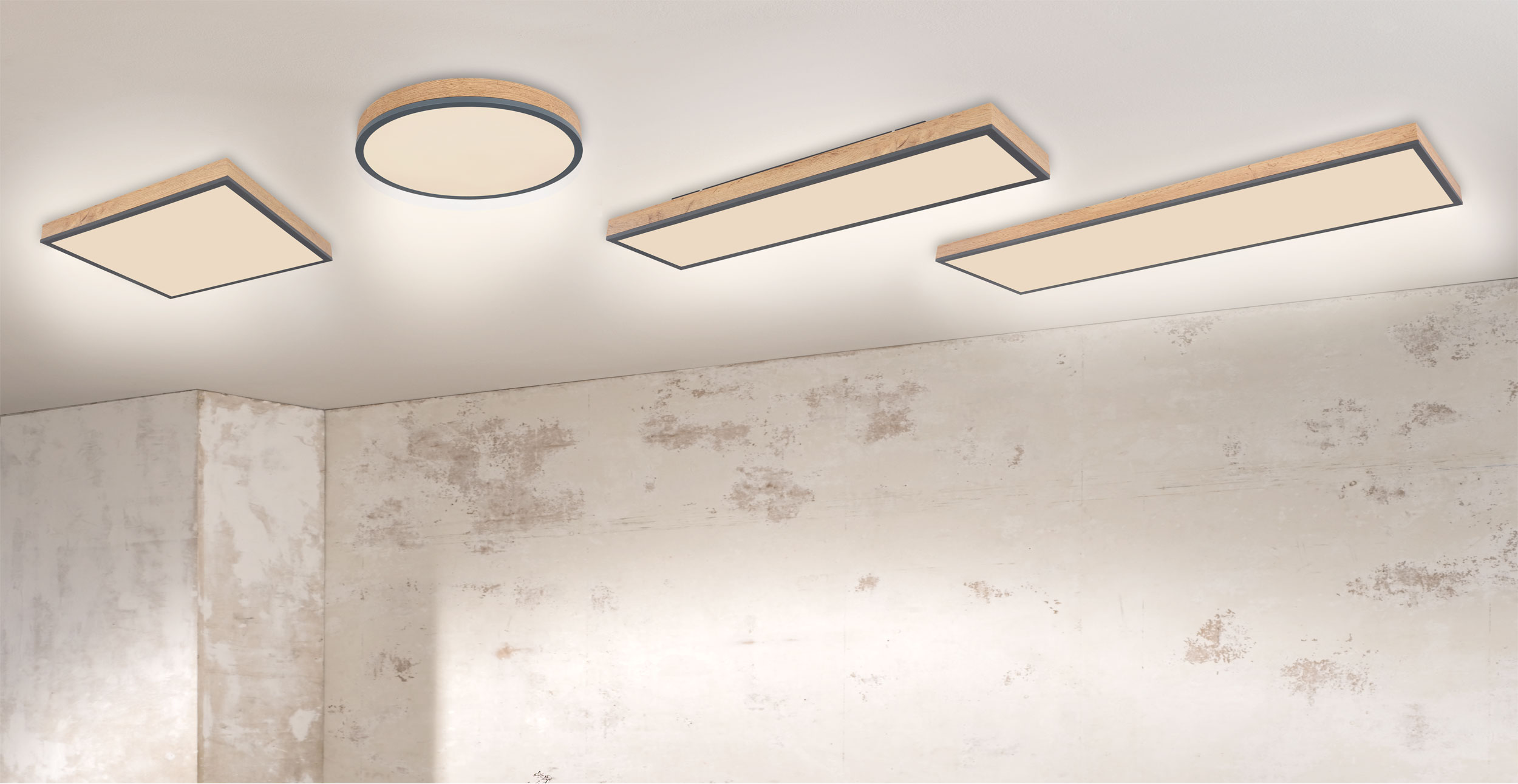 Globo LED-Deckenleuchte 1flg image number 5