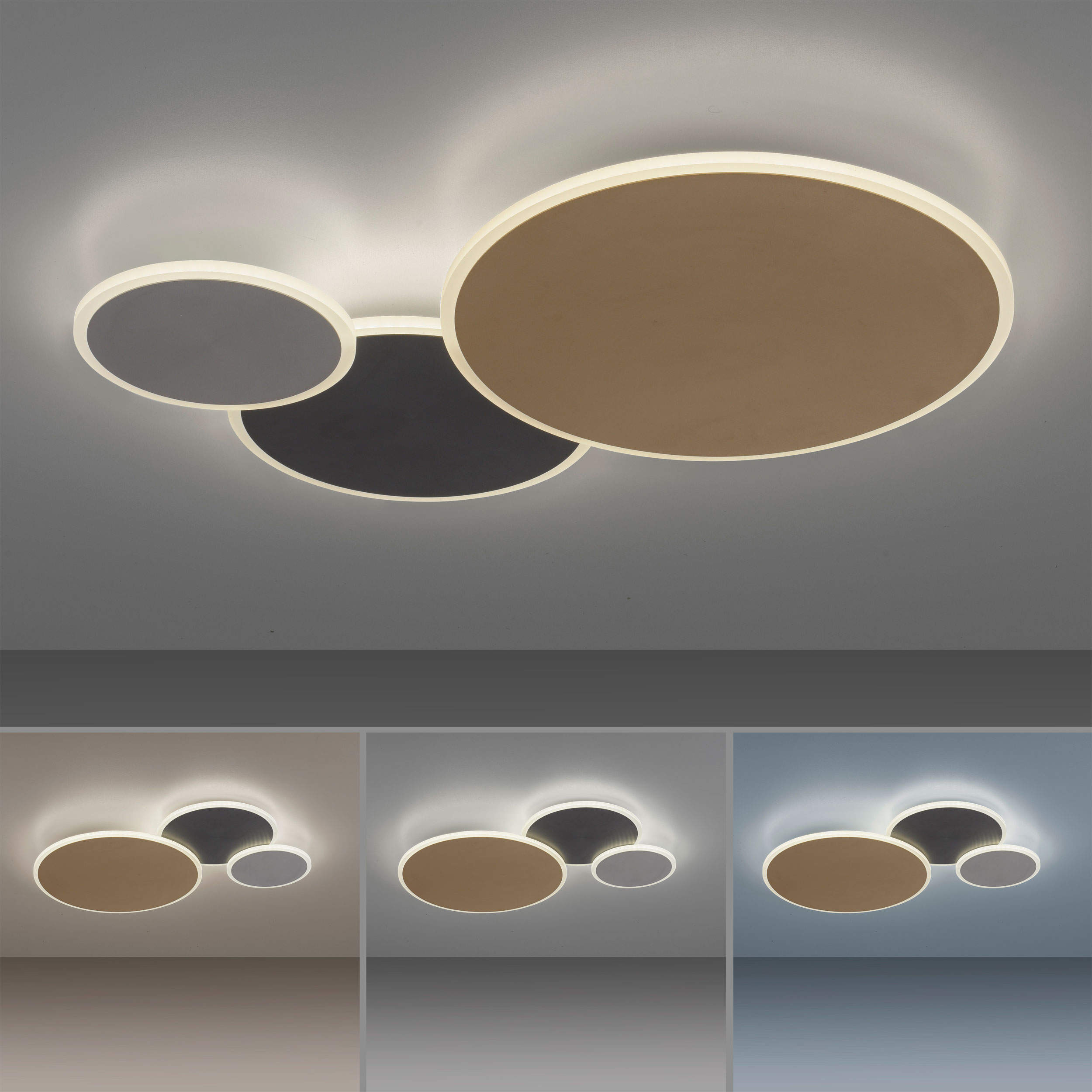 Paul Neuhaus LED-Wand-u. Deckenleuchte 1flg image number 5