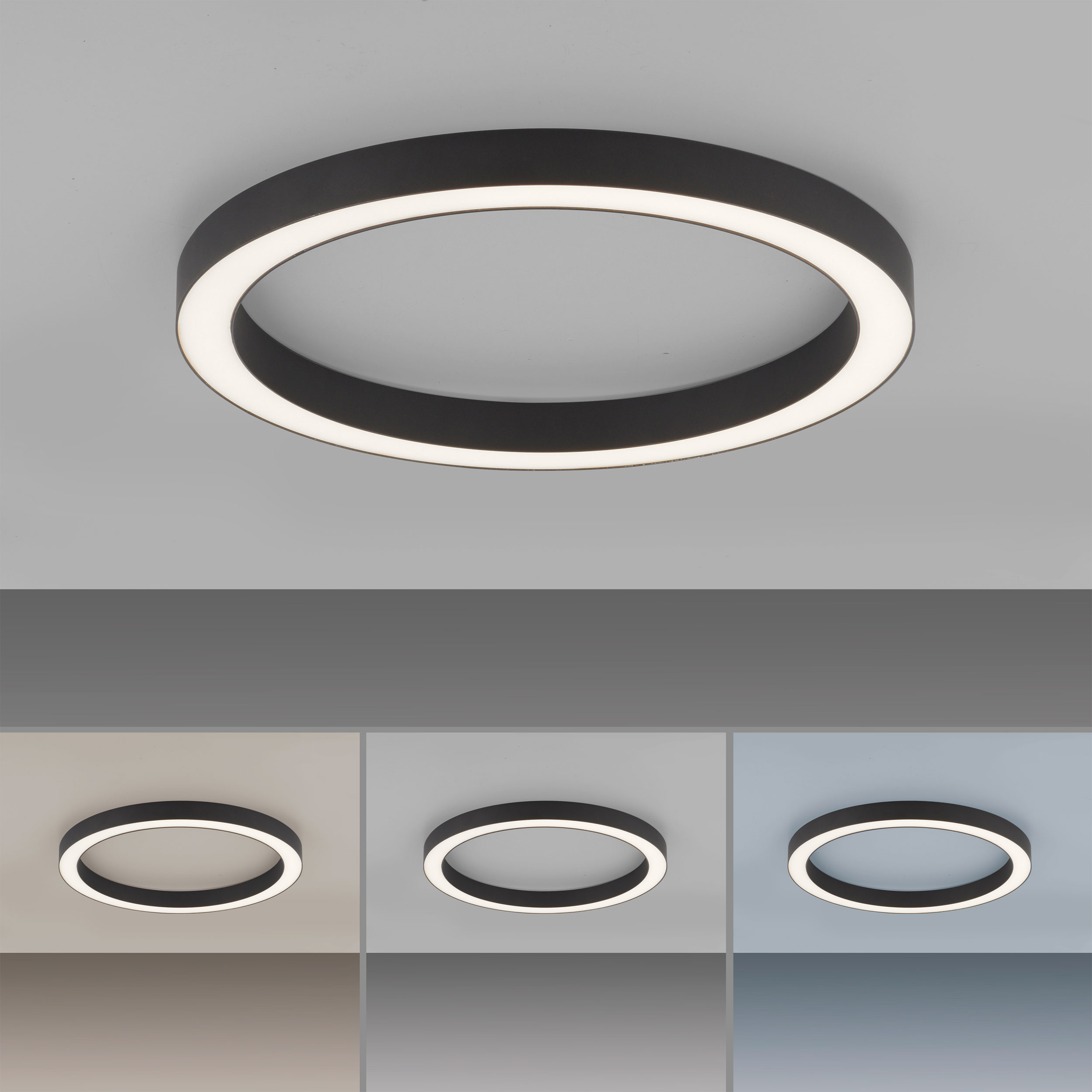 Paul Neuhaus LED-Deckenleuchte 1flg image number 4