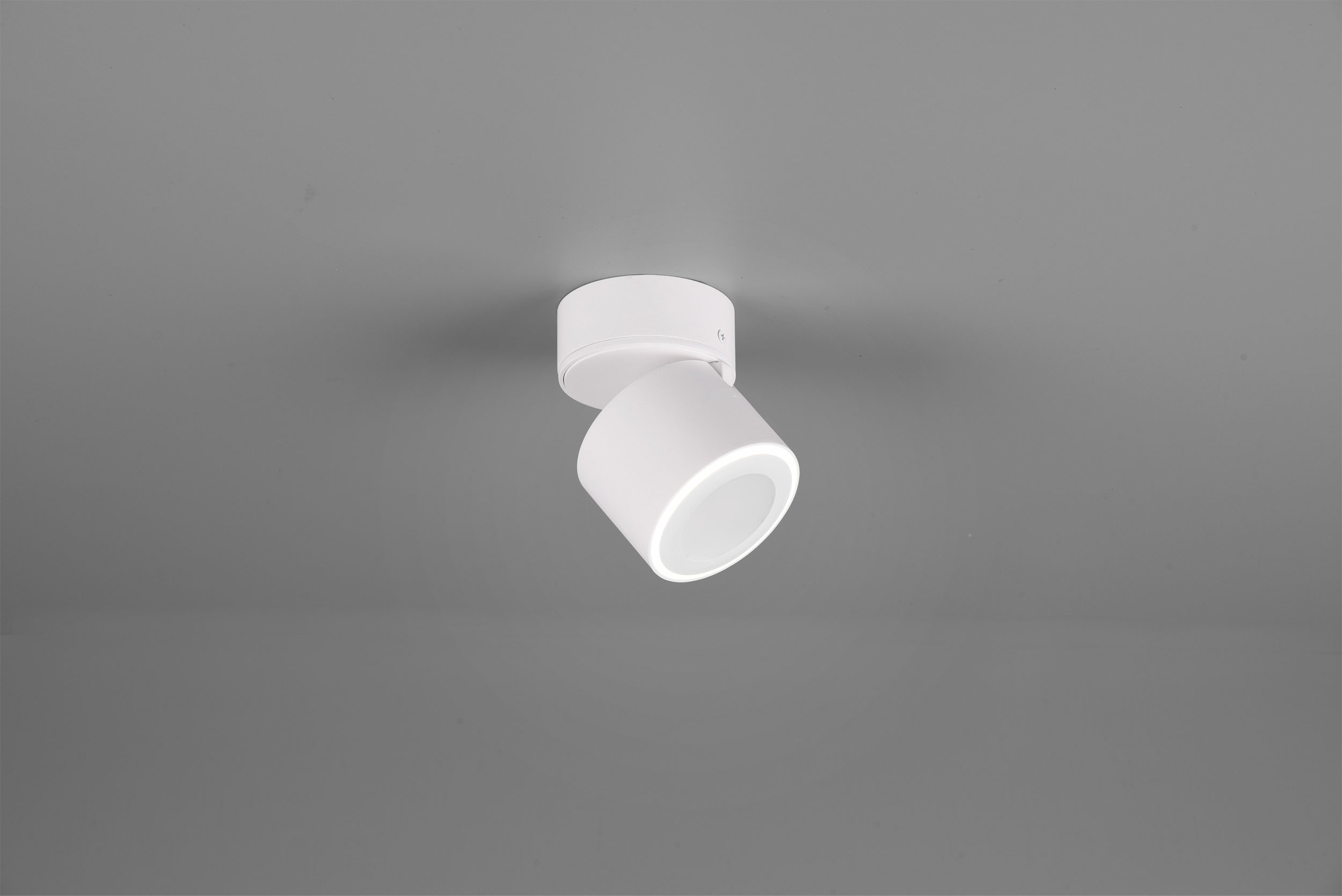LED - Deckenleuchte 1flg image number null