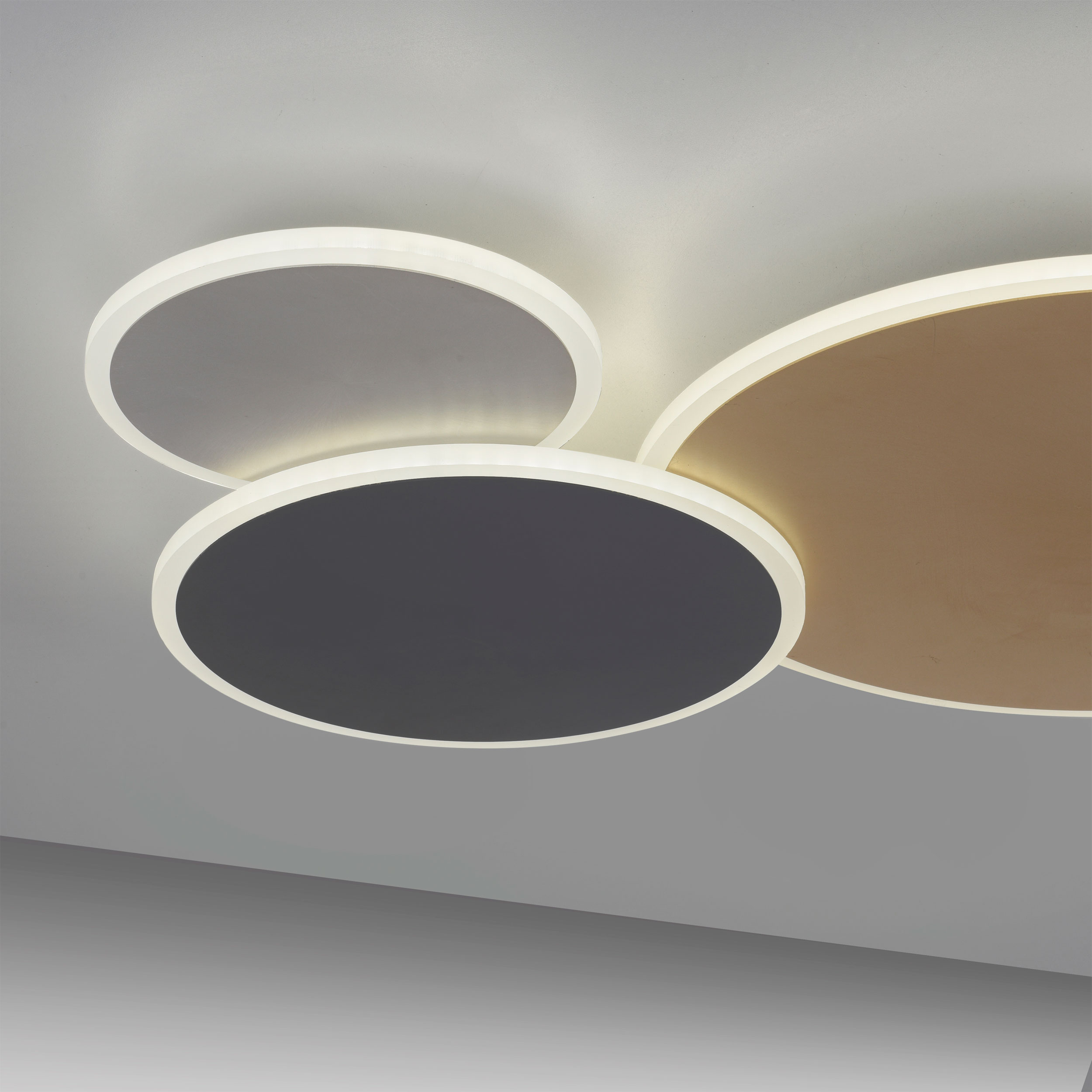 Paul Neuhaus LED-Wand-u. Deckenleuchte 1flg image number 4