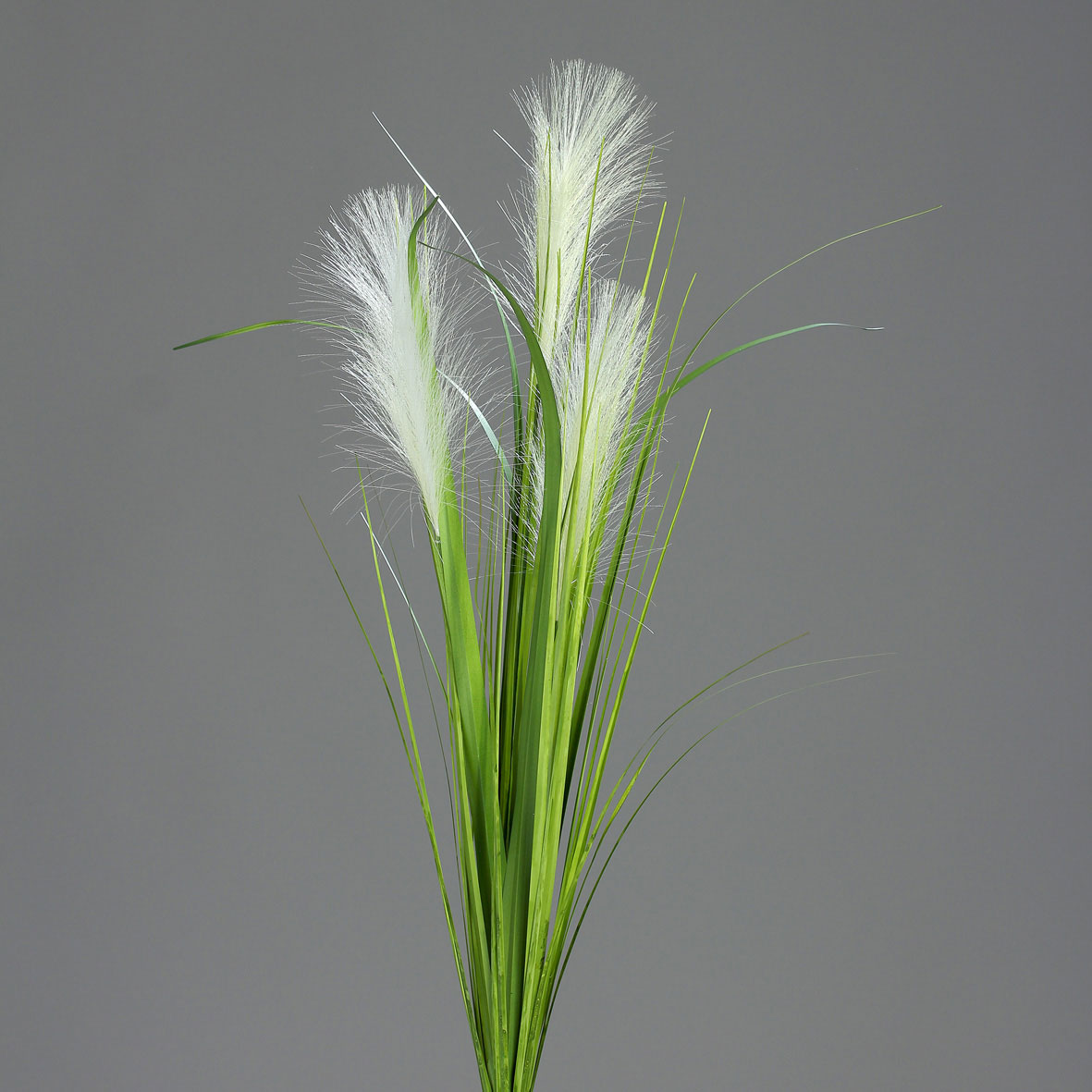 Palmgrasbusch 70cm image number null