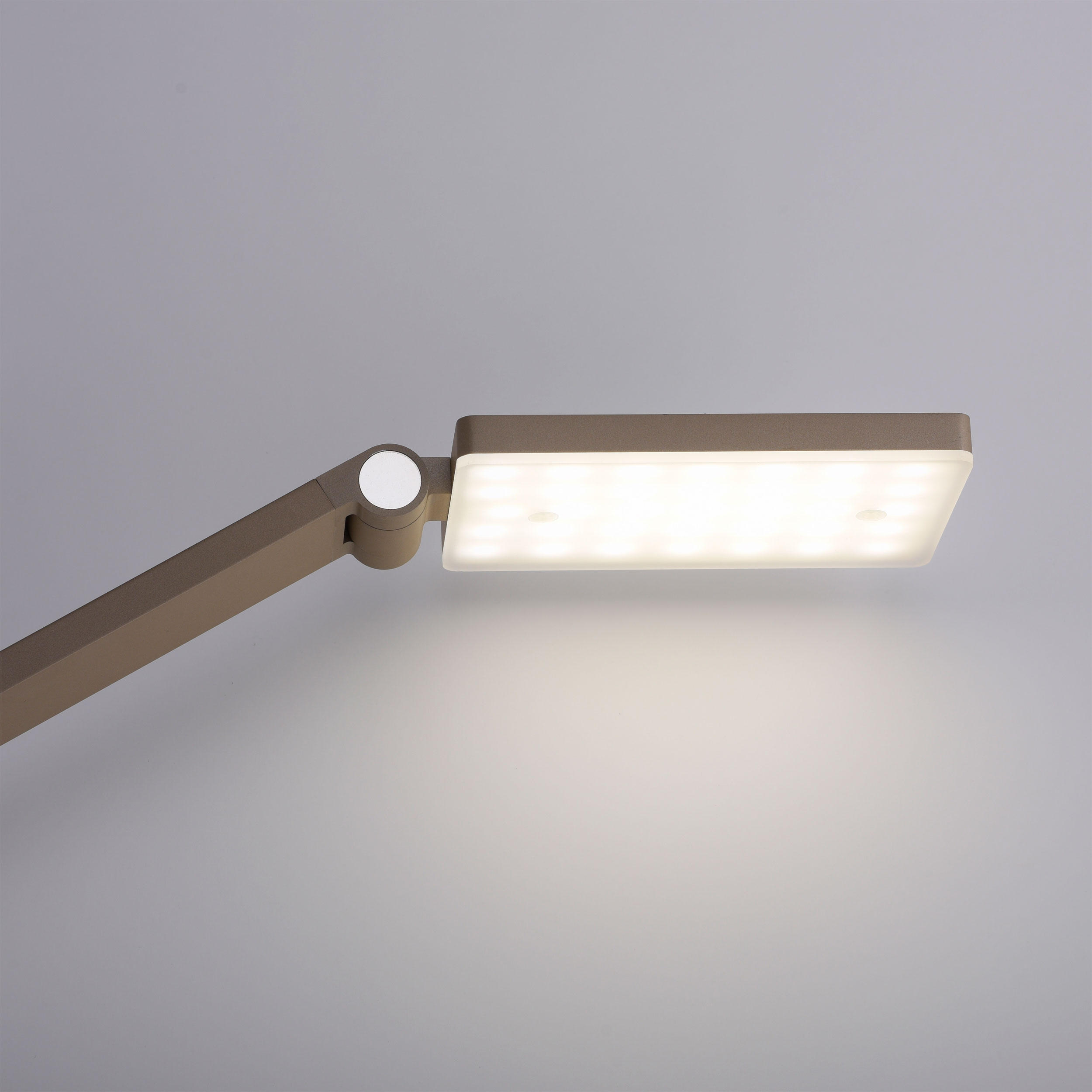 Paul Neuhaus LED-Tischleuchte 1flg image number 4