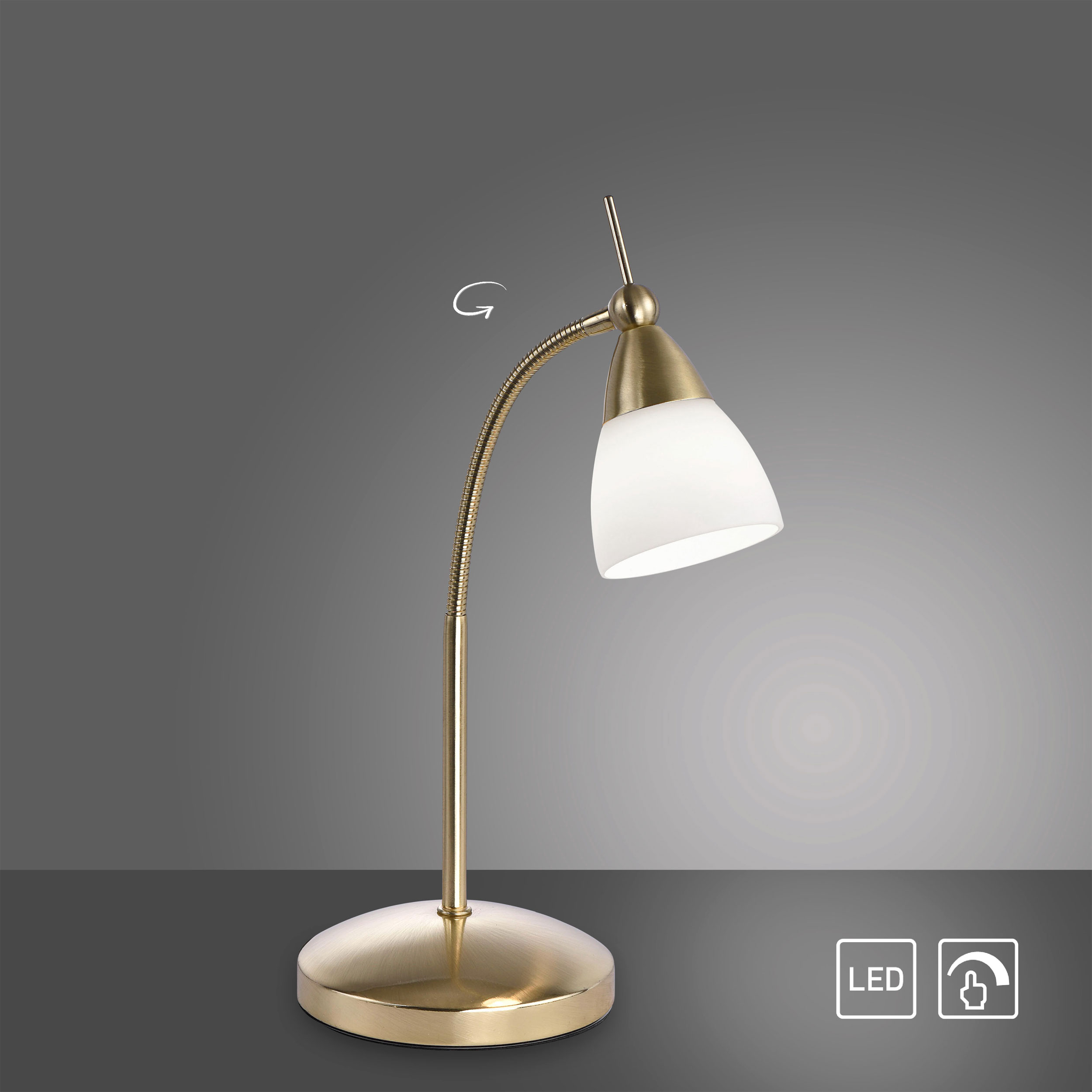 Paul Neuhaus LED-Tischleuchte 1flg image number 2