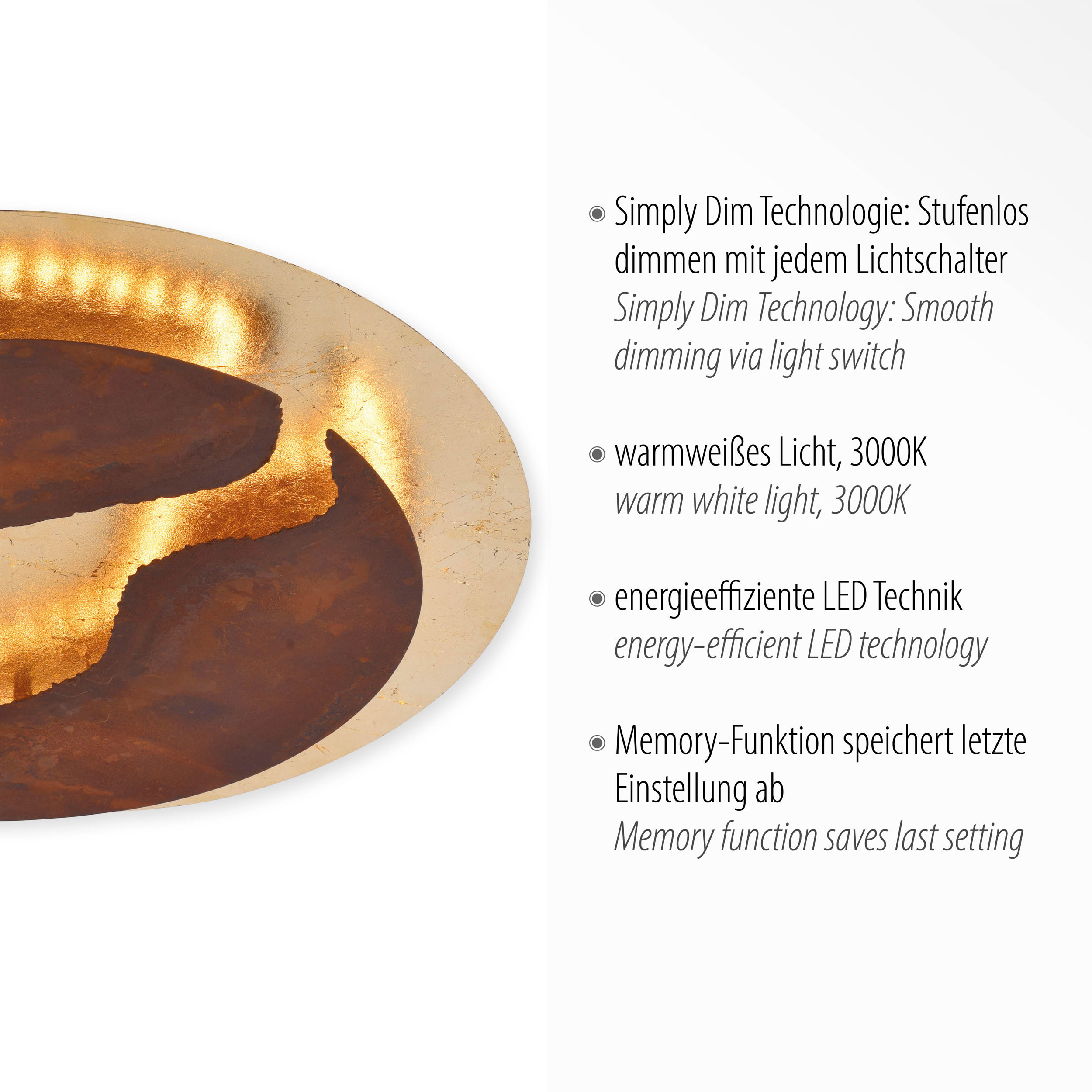 Paul Neuhaus LED-Deckenleuchte 1flg image number 2