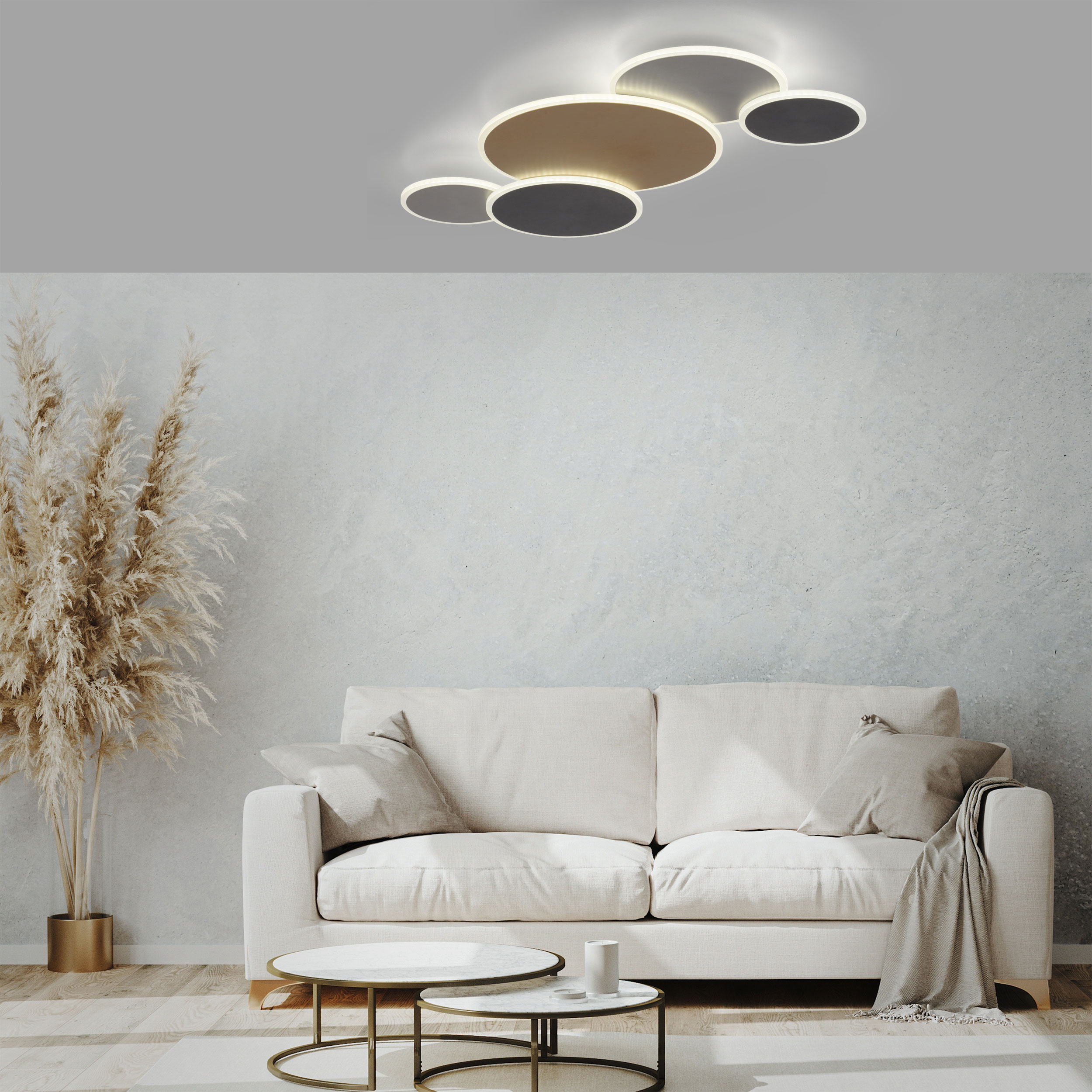 Paul Neuhaus LED-Wand-u. Deckenleuchte 1flg image number 8