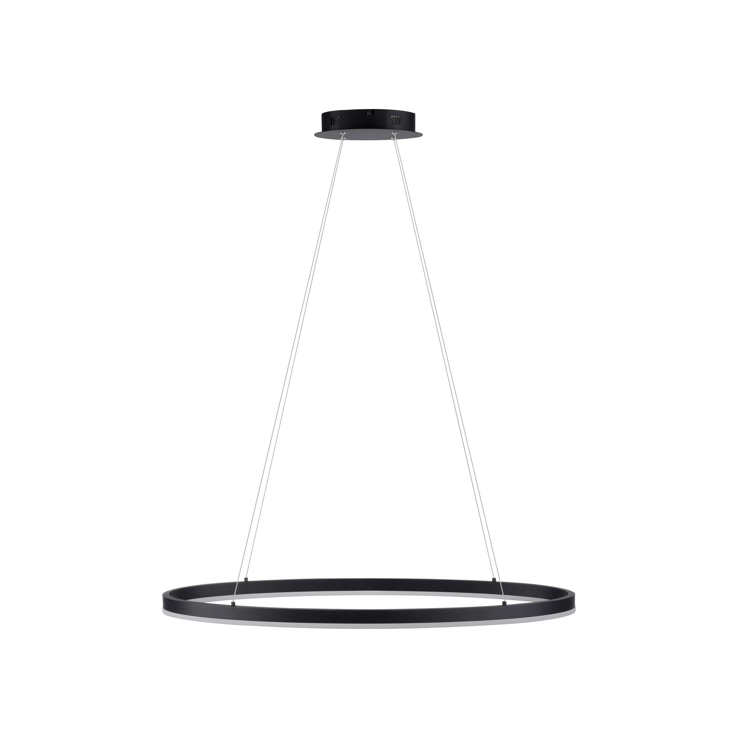 Paul Neuhaus LED-Pendelleuchte 1flg image number 1