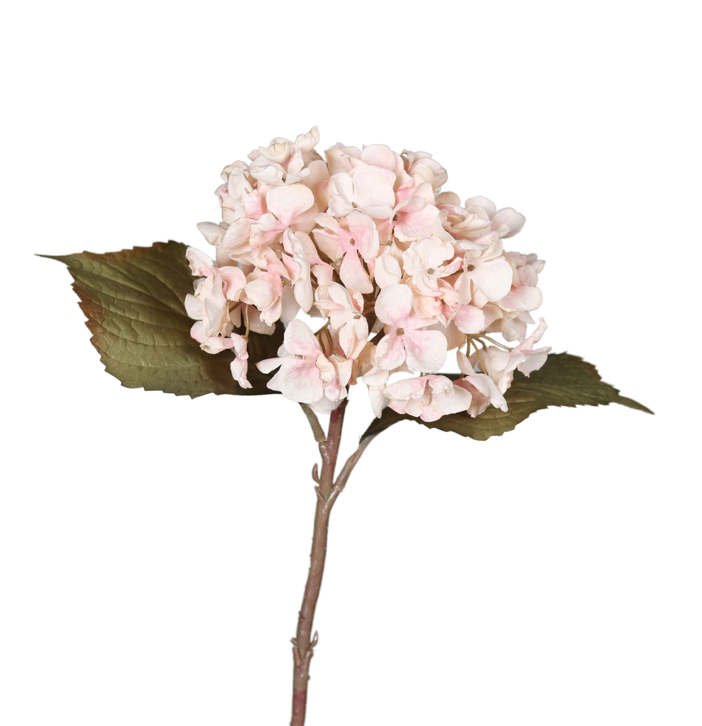 DPI Hortensie 45cm image number 1