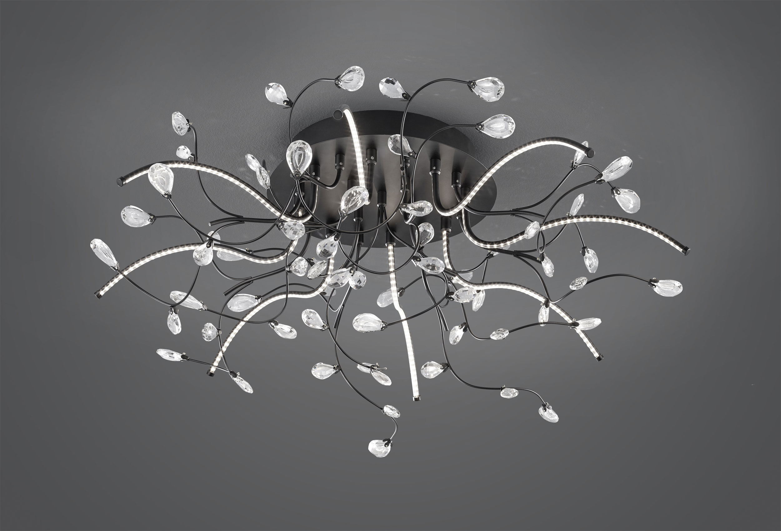 LED-Deckenleuchte 8flg image number null