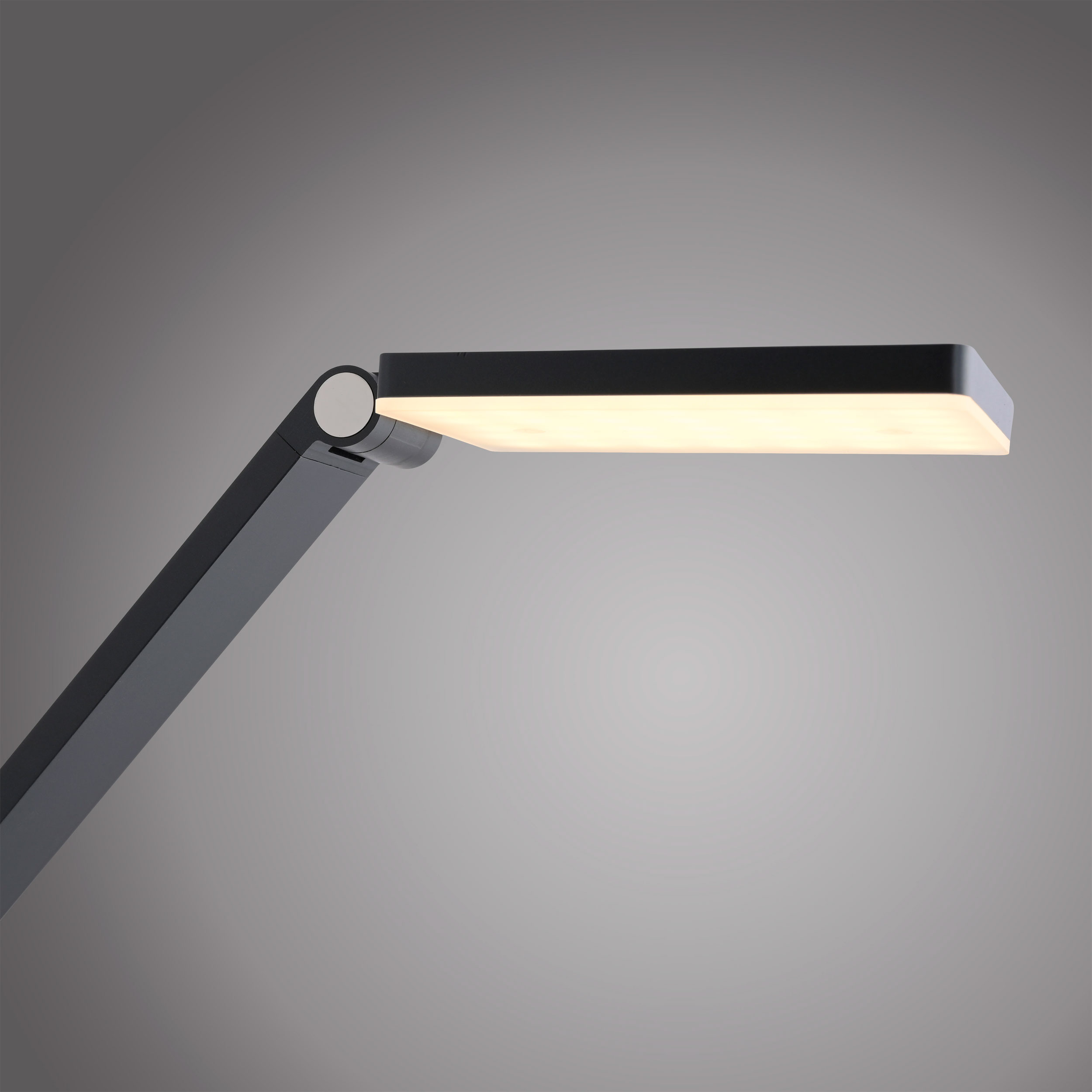 Paul Neuhaus LED-Tischleuchte 1flg image number 4
