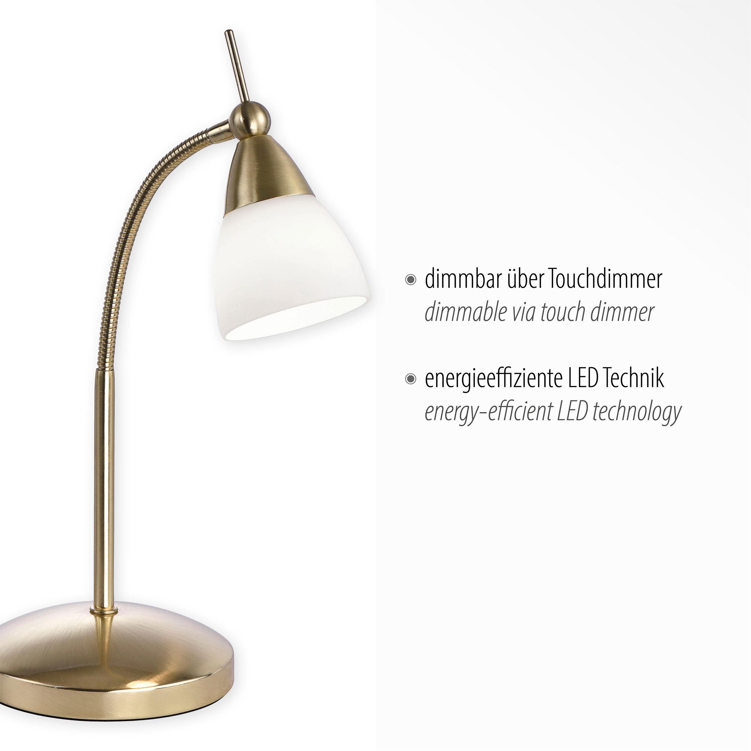 Paul Neuhaus LED-Tischleuchte 1flg image number 3