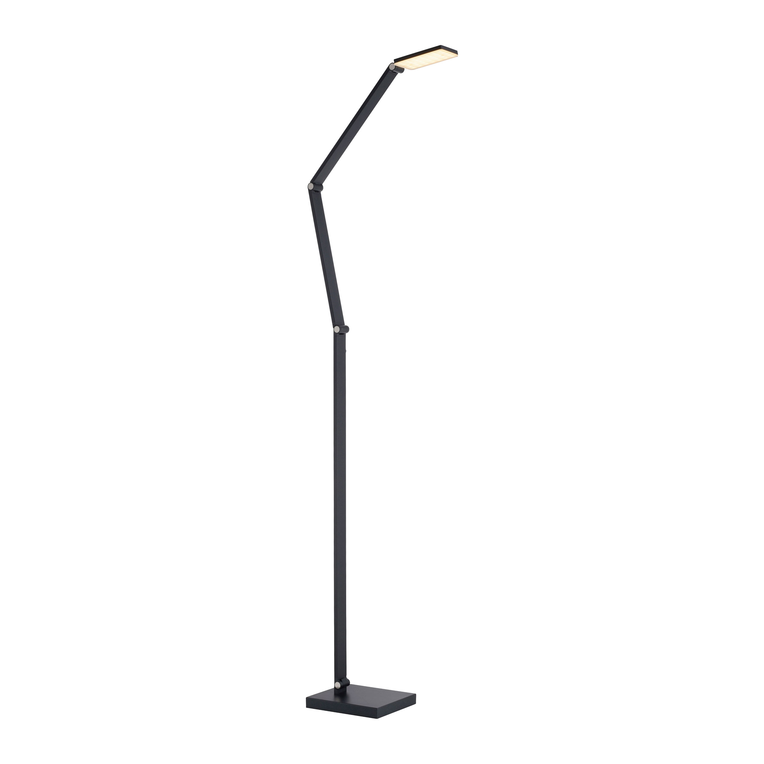Paul Neuhaus LED-Stehleuchte 1flg image number 1