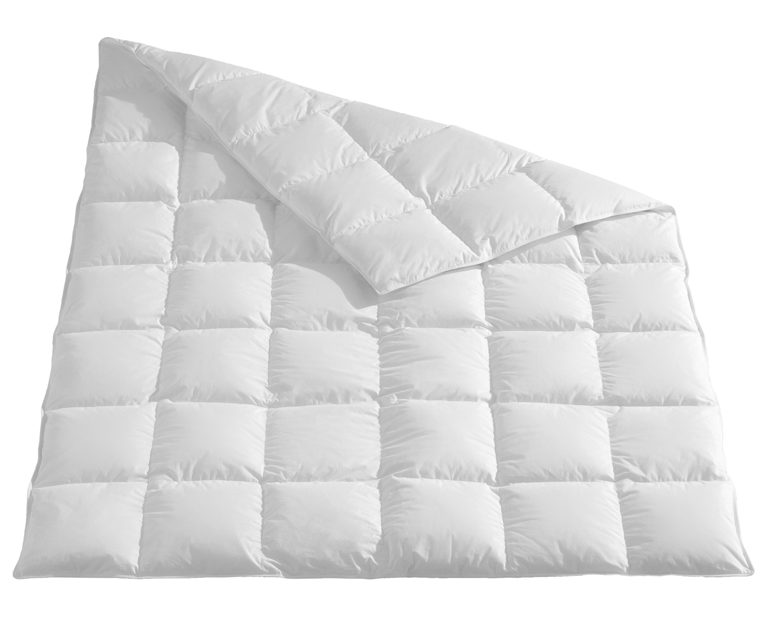 Kassettenbett medium 528g image number null
