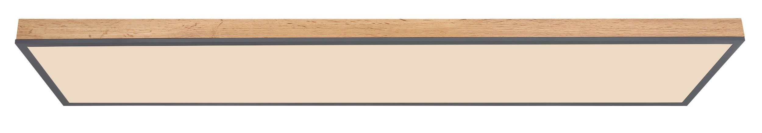 LED-Deckenleuchte 1flg image number null