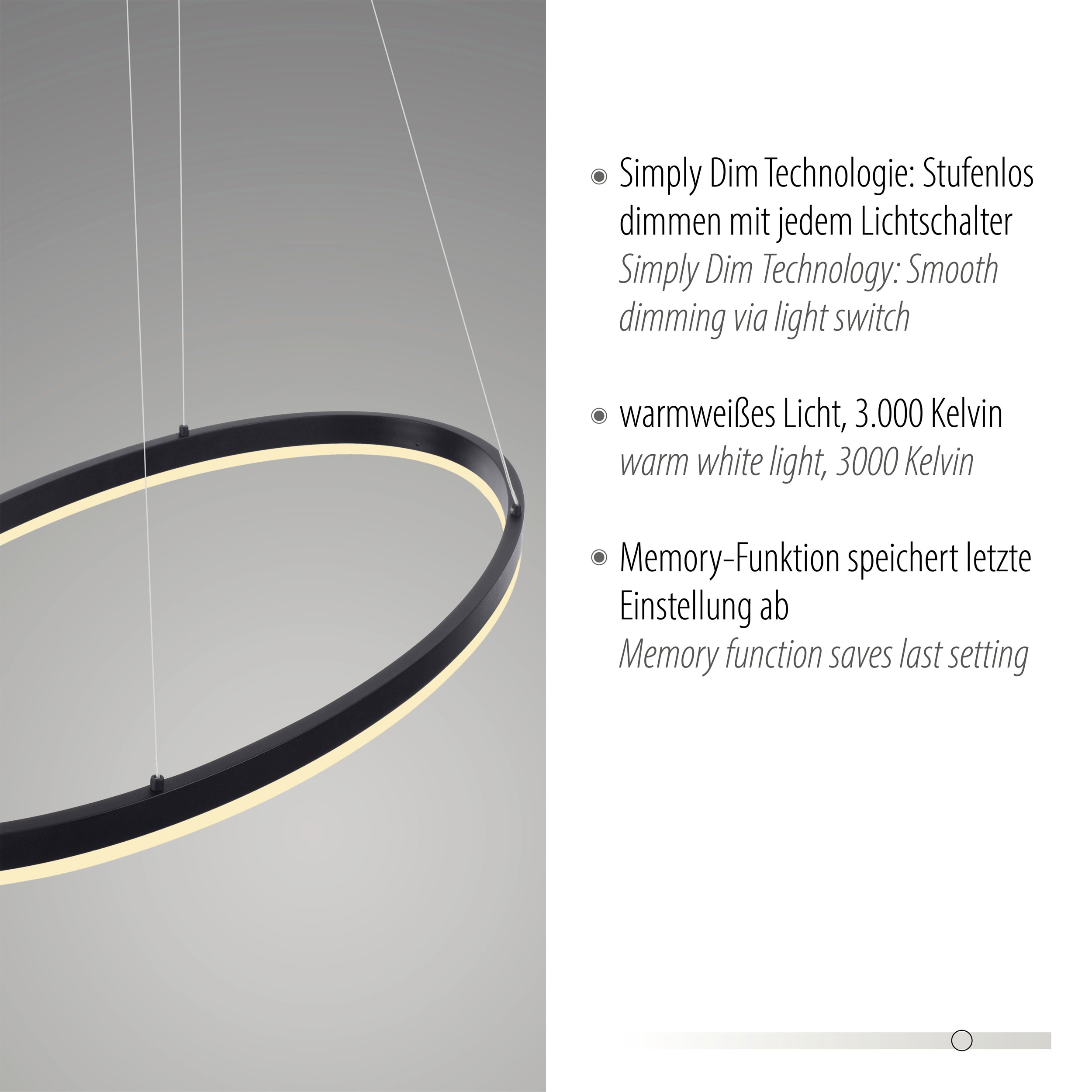Paul Neuhaus LED-Pendelleuchte 1flg image number 5