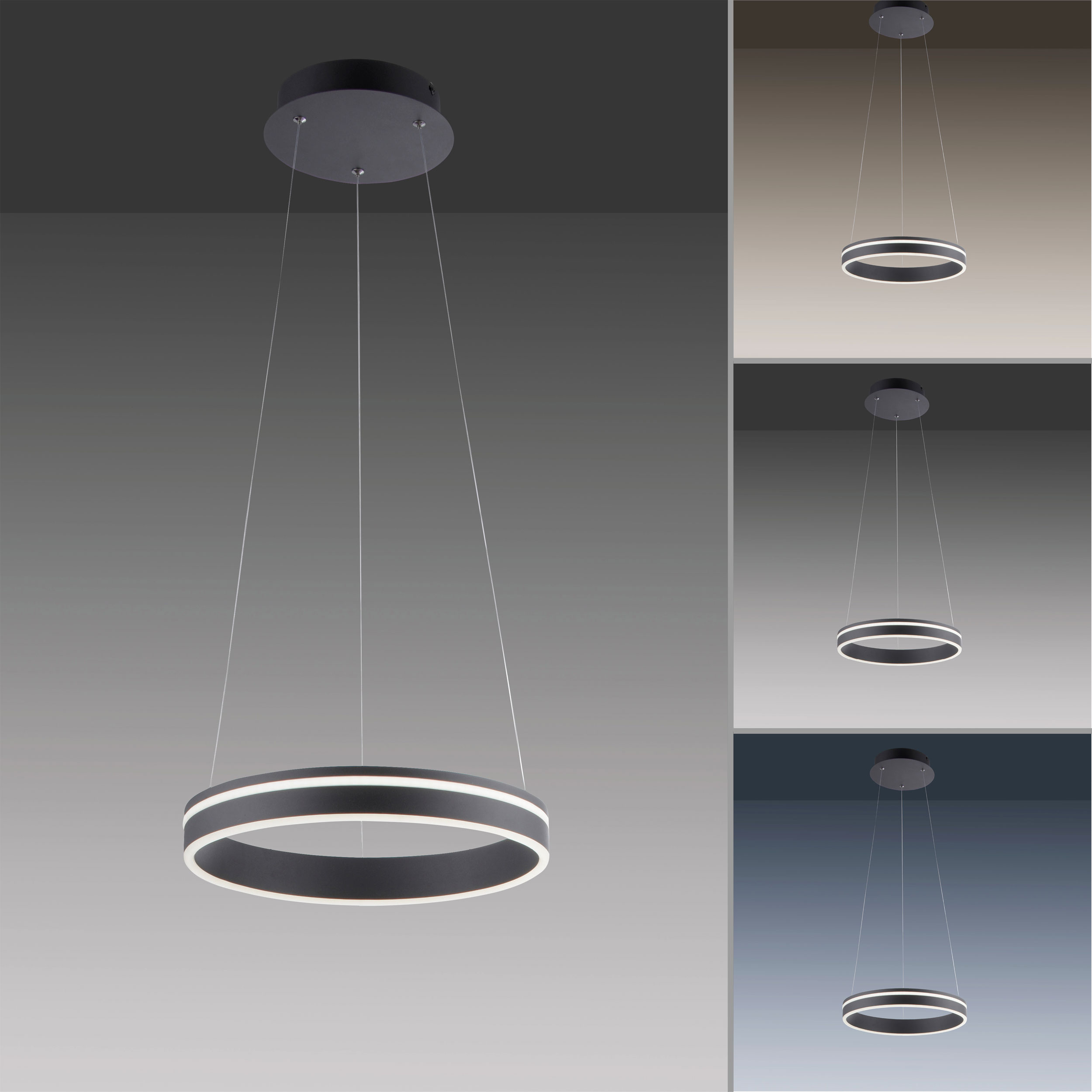 LED-Pendelleuchte 1flg image number null