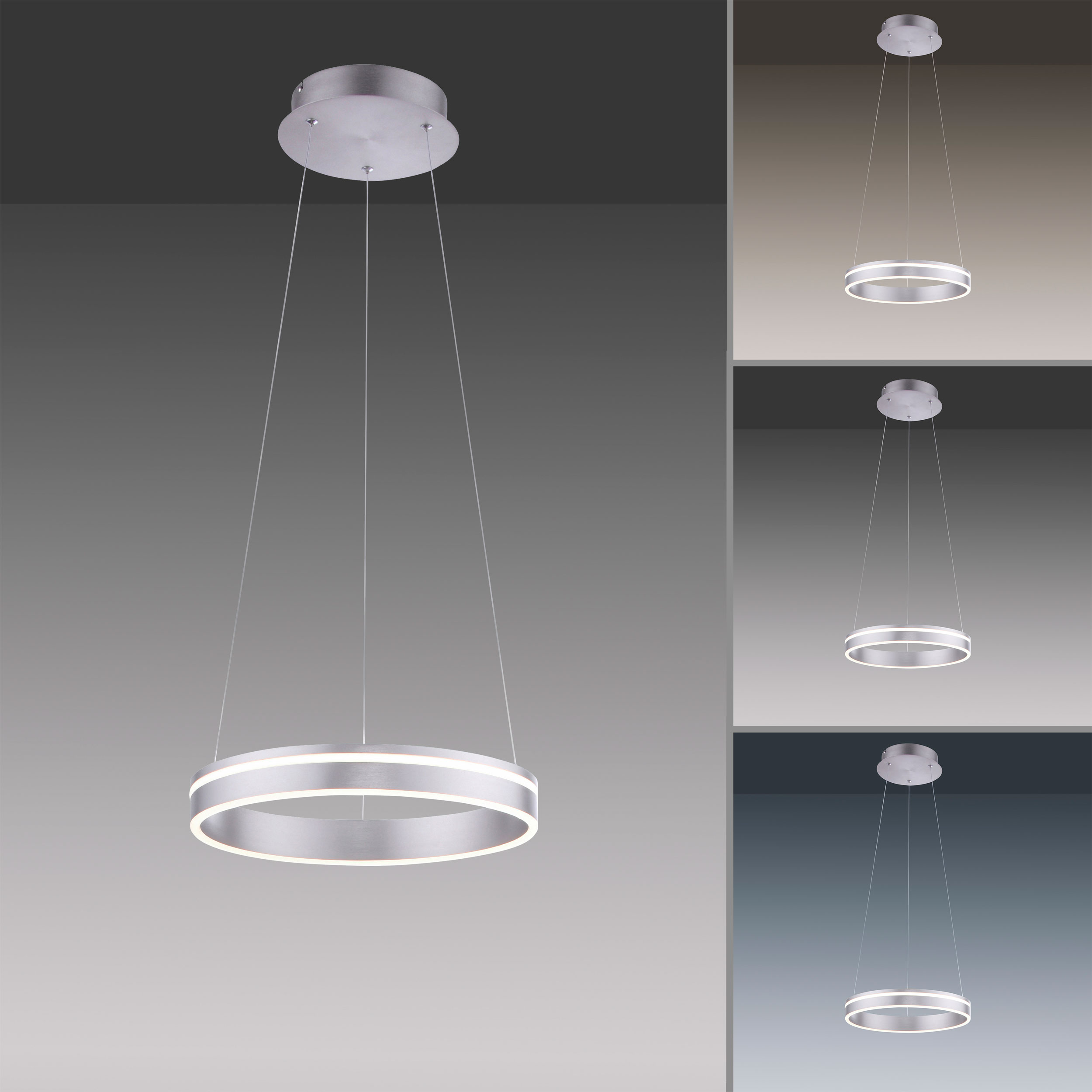 Paul Neuhaus LED-Pendelleuchte 1flg image number 2