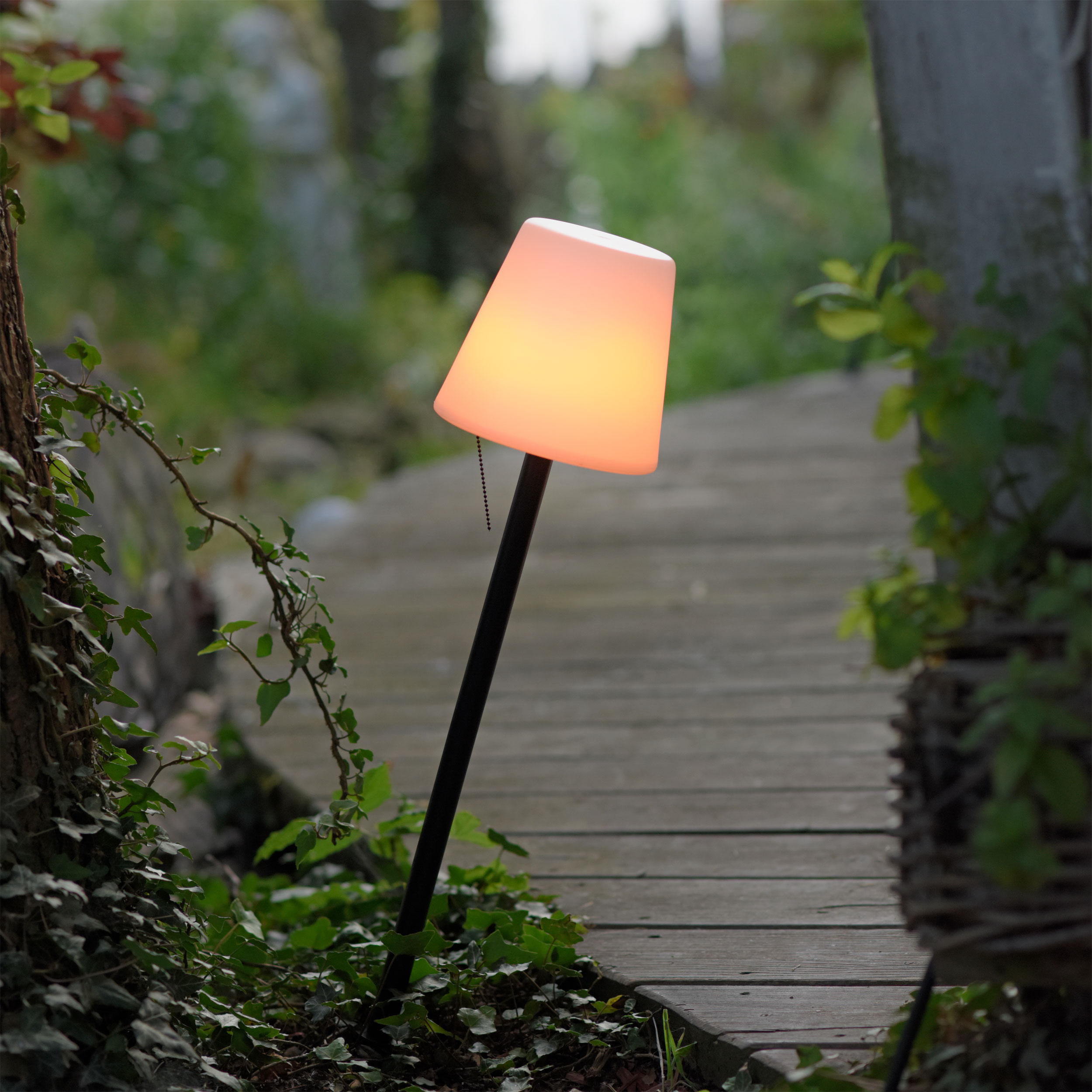 LED-Akku-Tischleuchte 1 flg image number null