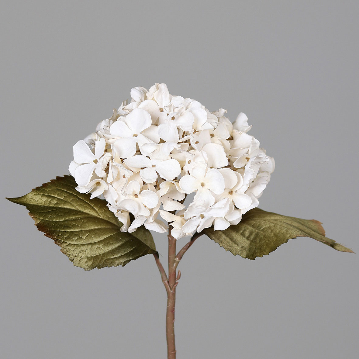 DPI Hortensie 45cm image number 1