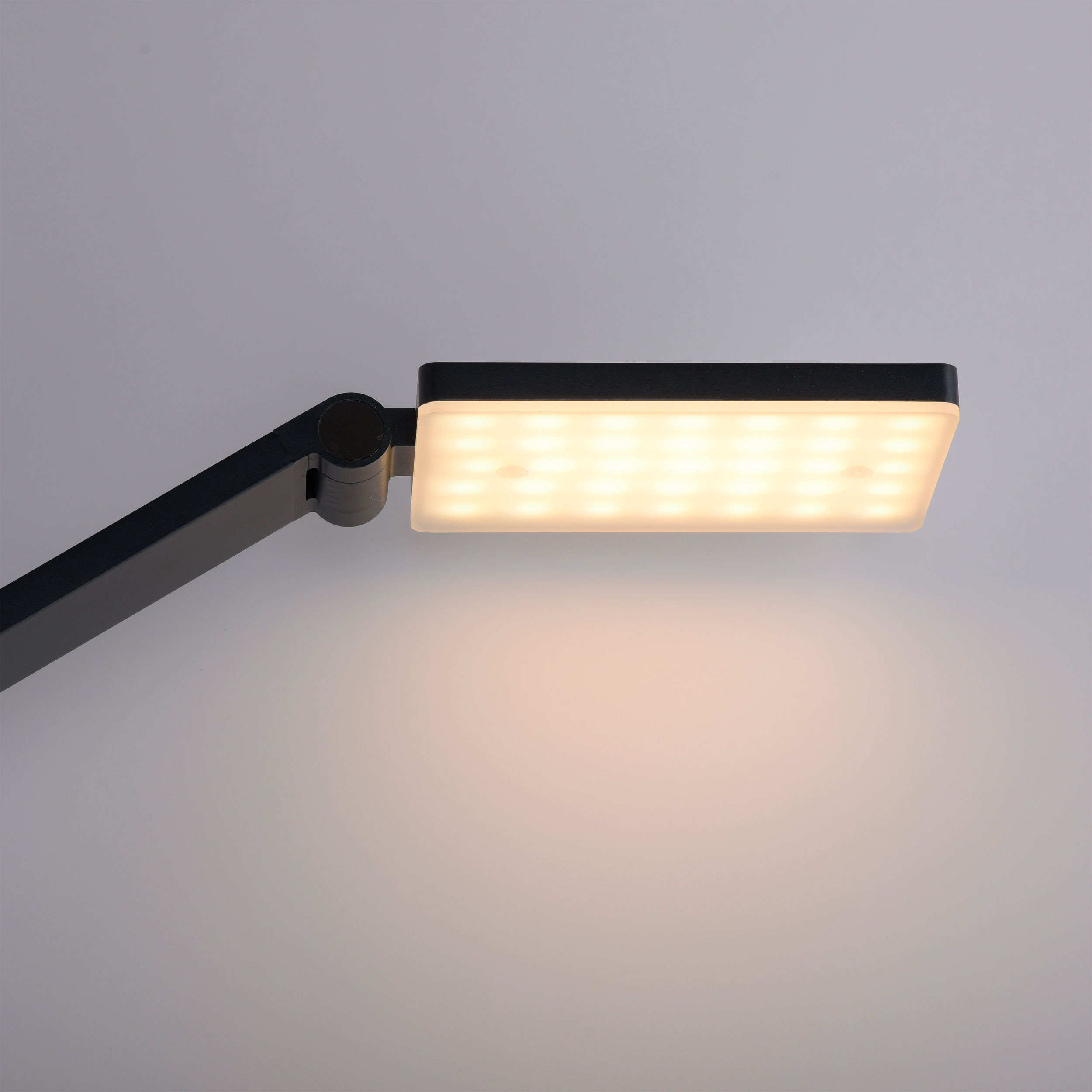 Paul Neuhaus LED-Stehleuchte 1flg image number 3