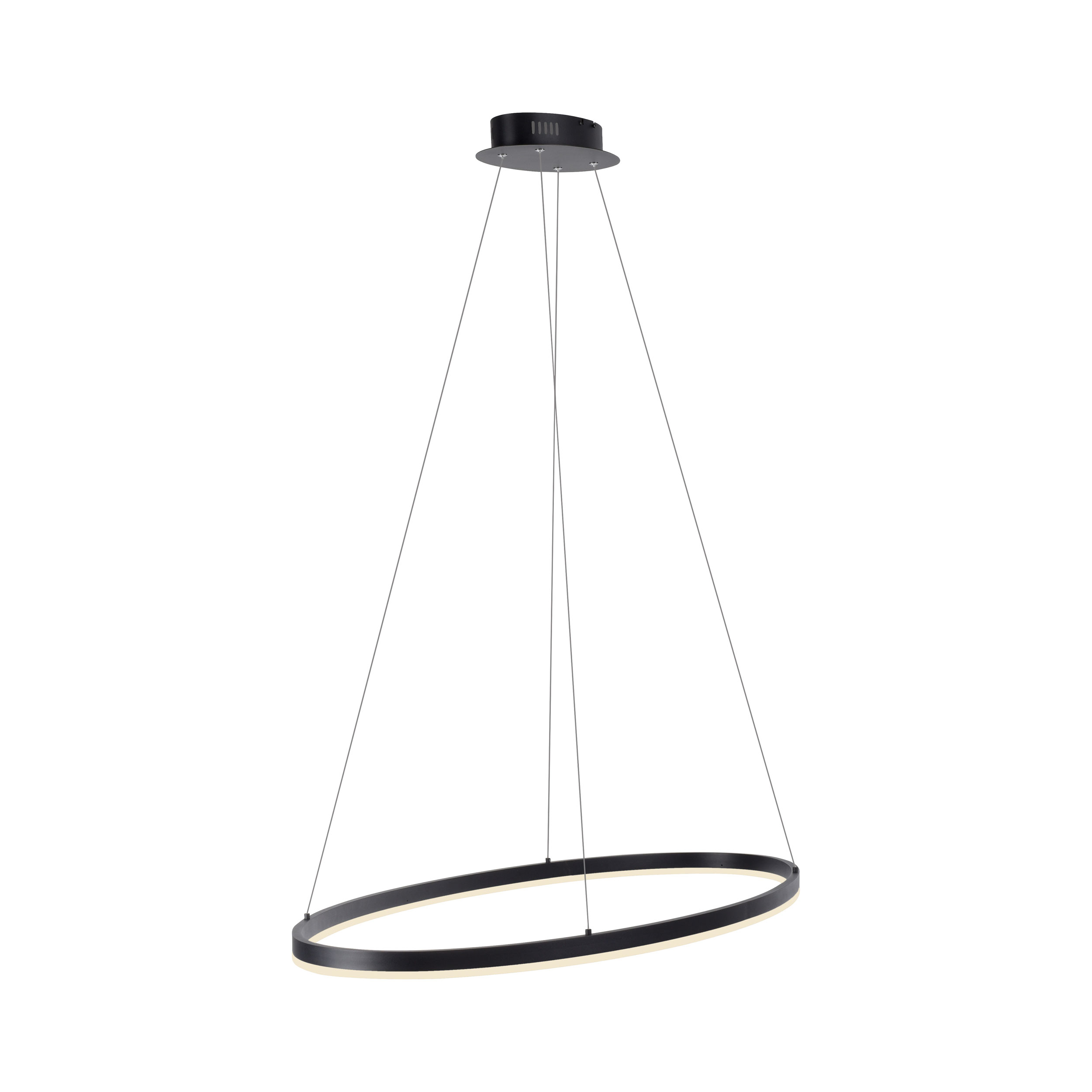 Paul Neuhaus LED-Pendelleuchte 1flg image number 2