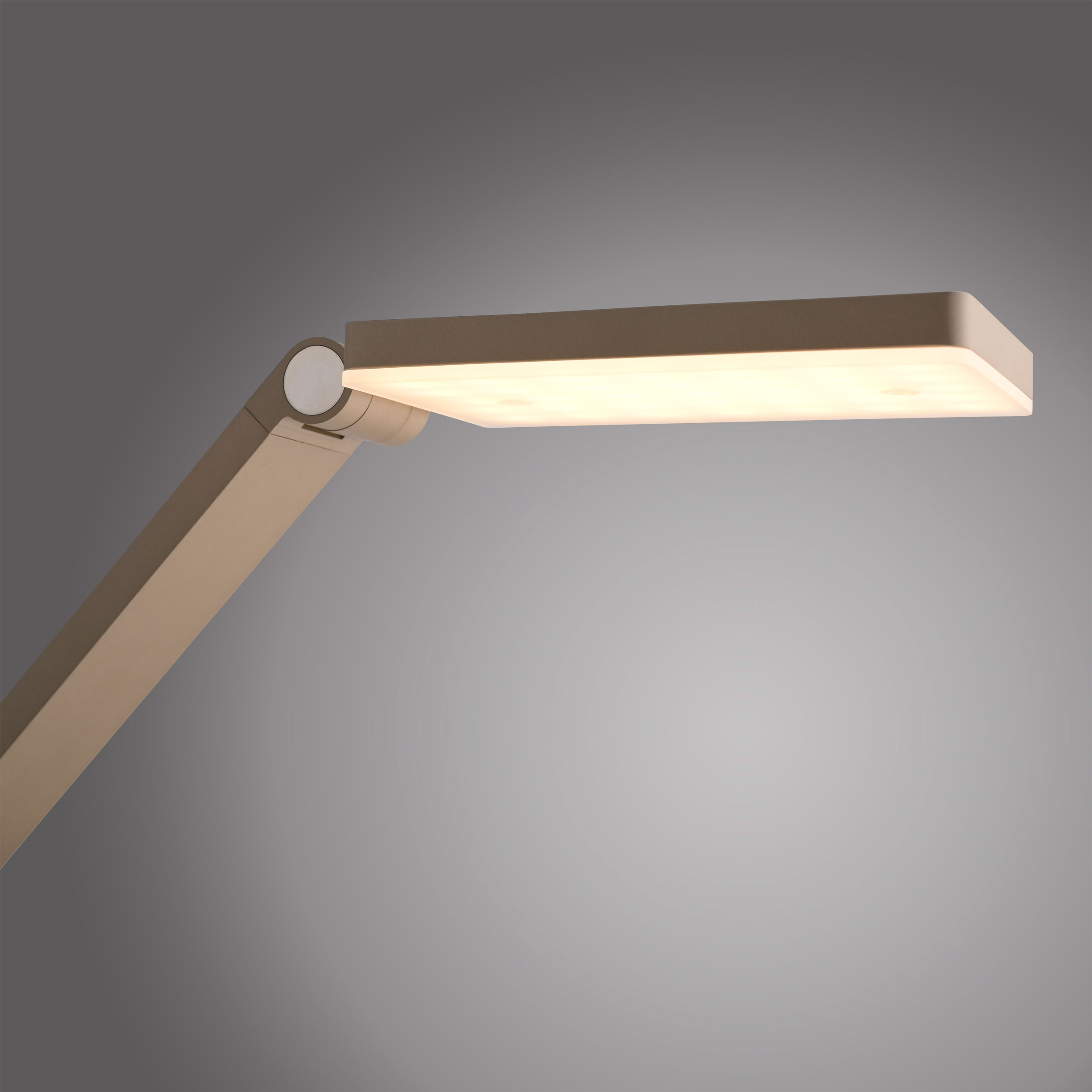 Paul Neuhaus LED-Tischleuchte 1flg image number 5