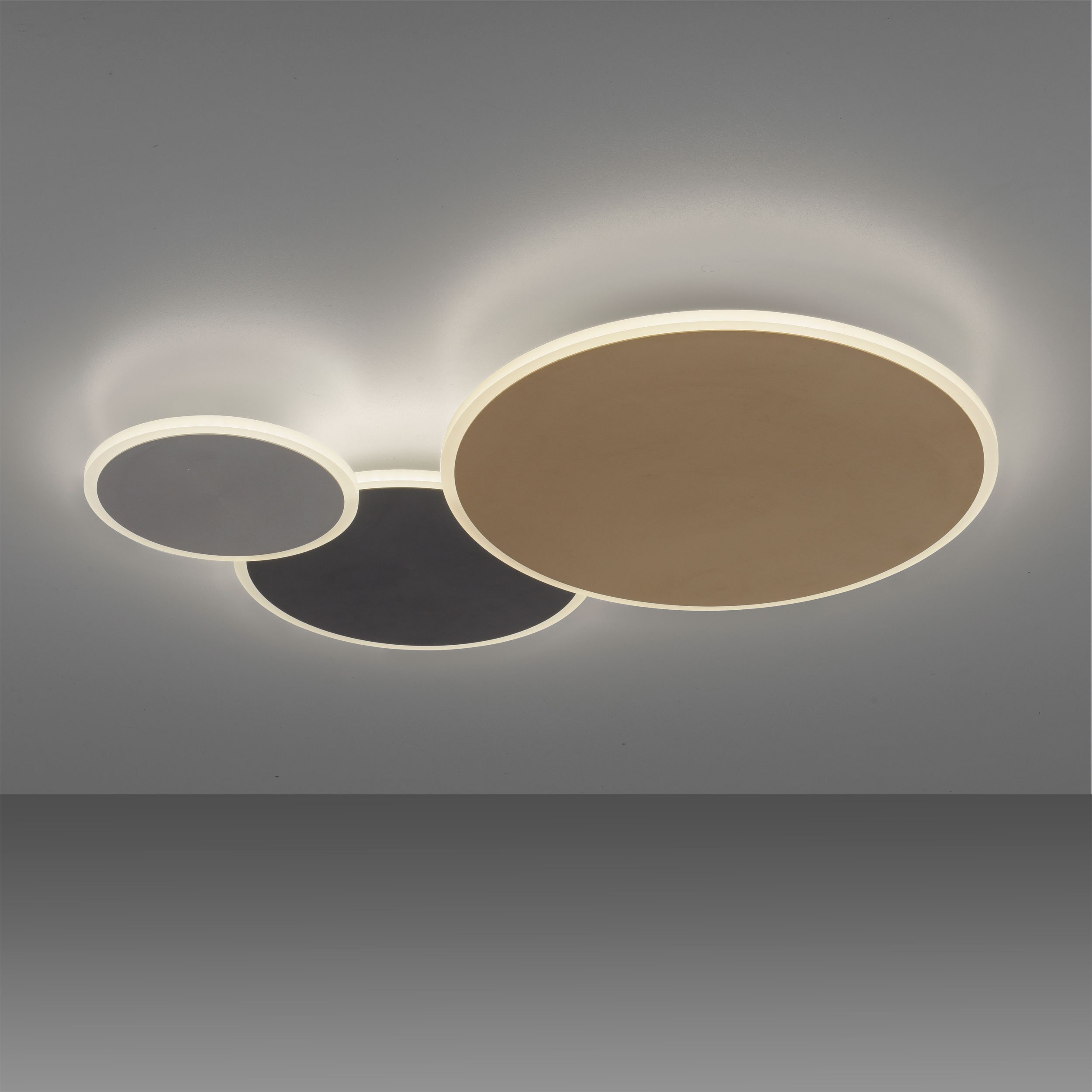 Paul Neuhaus LED-Wand-u. Deckenleuchte 1flg image number 3